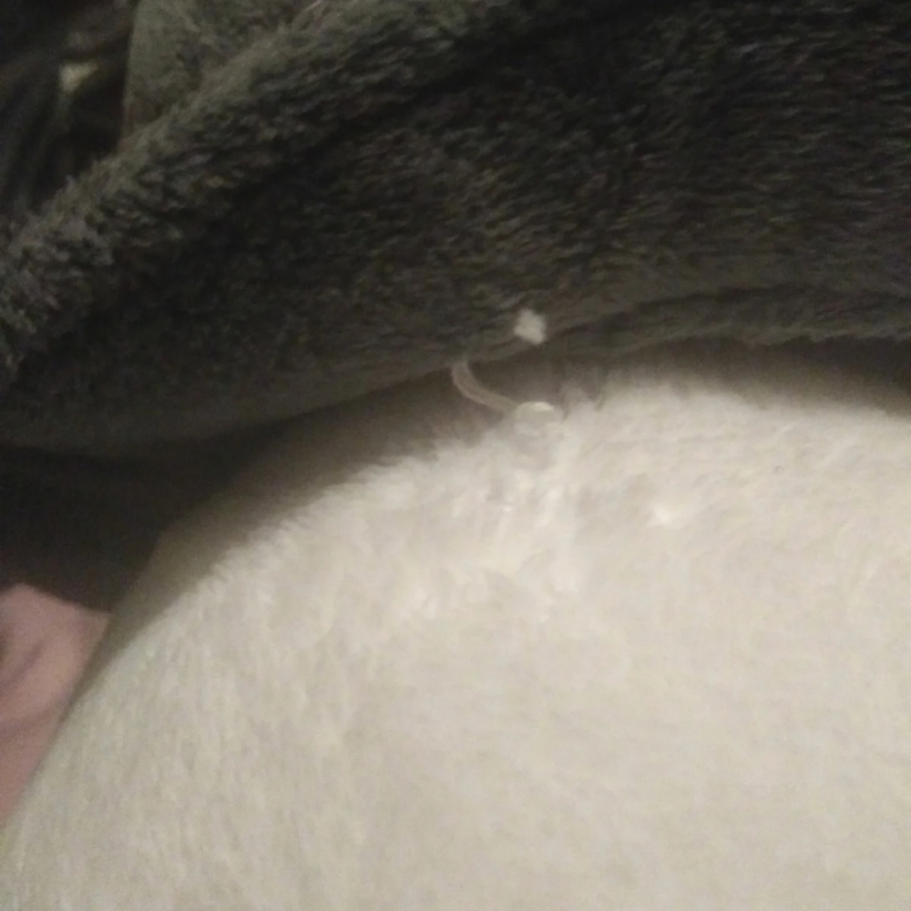 Build-A-Bear Snowman  20" - Picture 7 of 8